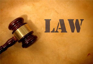 天津律师与法律咨询服务指南 如何获取专业法律帮助